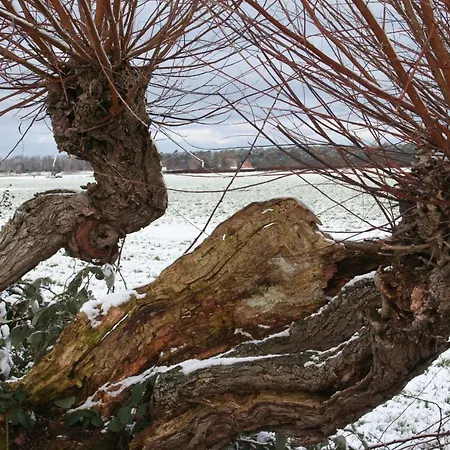 Haus Alex Erdgeschoss * Wustrow (Fischland)